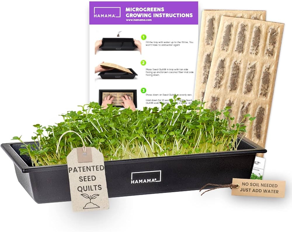 HAMAMA Microgreens Growing Kit - Sprouts Growing Kit, Sprouting Kit - Grow Microgreens Indoor, Mi... | Amazon (US)