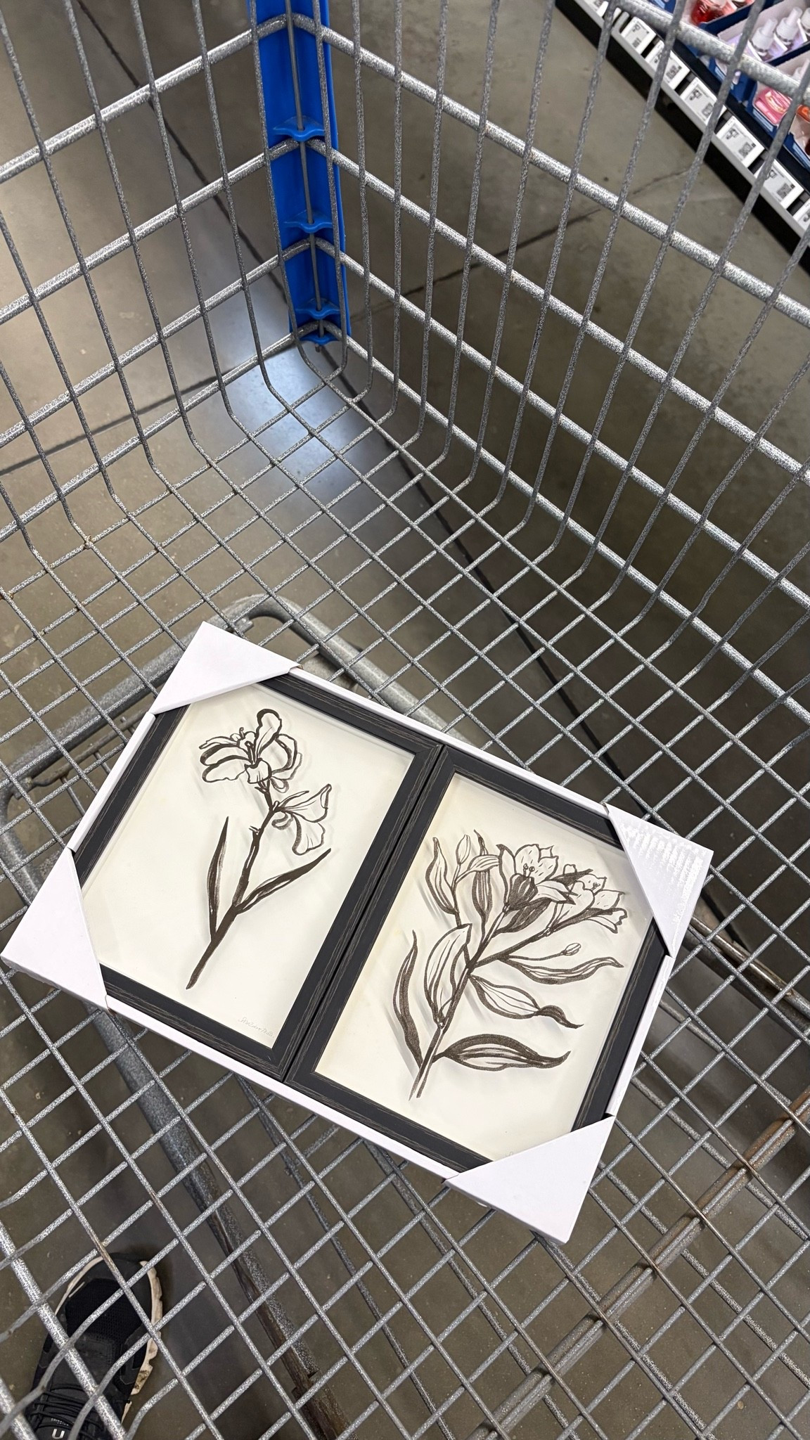 These frames would be so cute in any space in a home! 🖤

#LTKHome #LTKSeasonal #LTKSaleAlert