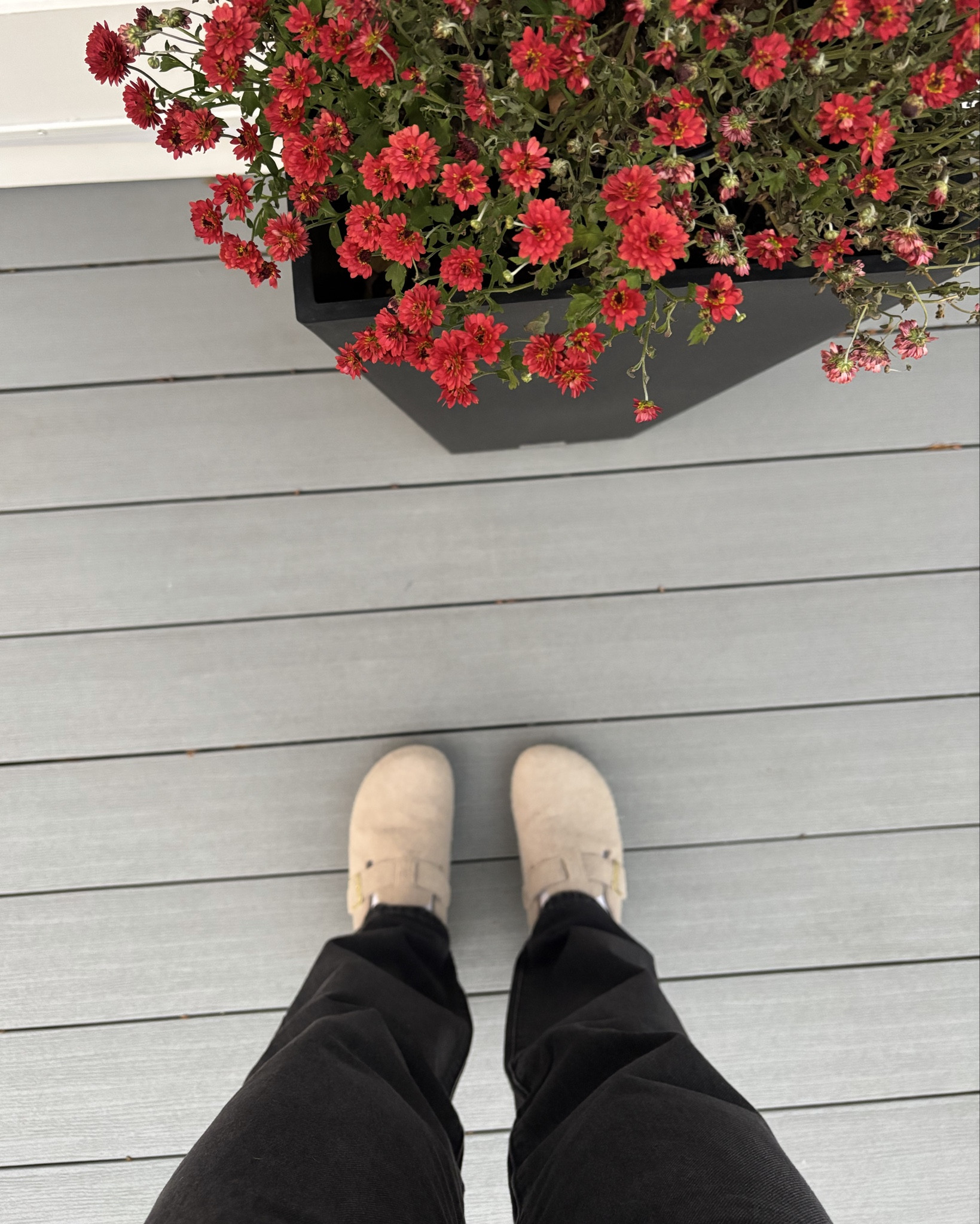 The Perfect Casual Shoe for EARLY SPRING weather 🪻😎

CLOGS & SLIDES UNDER $50
quick to slide on, go with everything, & are comfortable AND cute! 

Starting around $20, these B*rkenstock clog lookalikes are the perfect go-to casual spring shoe for both men and women!


.
.
.
affordable on-trend casual slides 
spring Outfit women
spring Fashion 
Spring outfit 2026
Women’s Shoes
Women’s Slides, Mules, Clogs
Designer Look for Less
Birkenstock Look-Alike
Gifts Under $50
Casual Shoes Under $50
Spring Shoe Deals 
unisex clogs 

#LTKSeasonal #LTKSpringSale #LTKootd