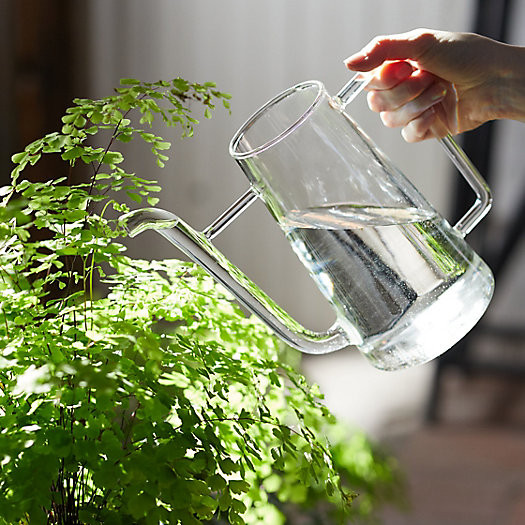 Glass Watering Can | Terrain