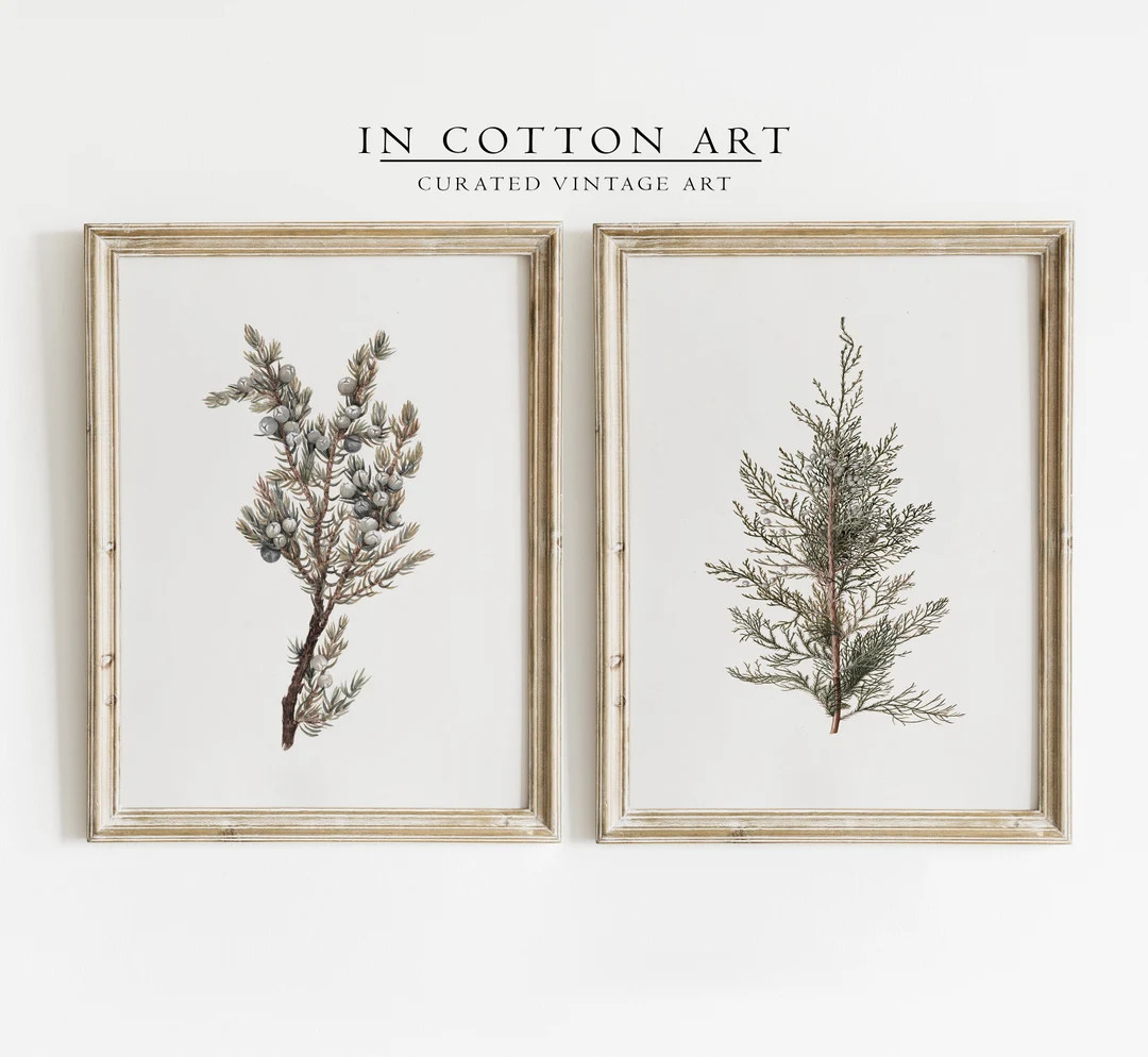 Botanical Winter Art Print SET / Vintage Christmas Holiday Decor PRINTABLE / Farmhouse Print Digi... | Etsy (US)