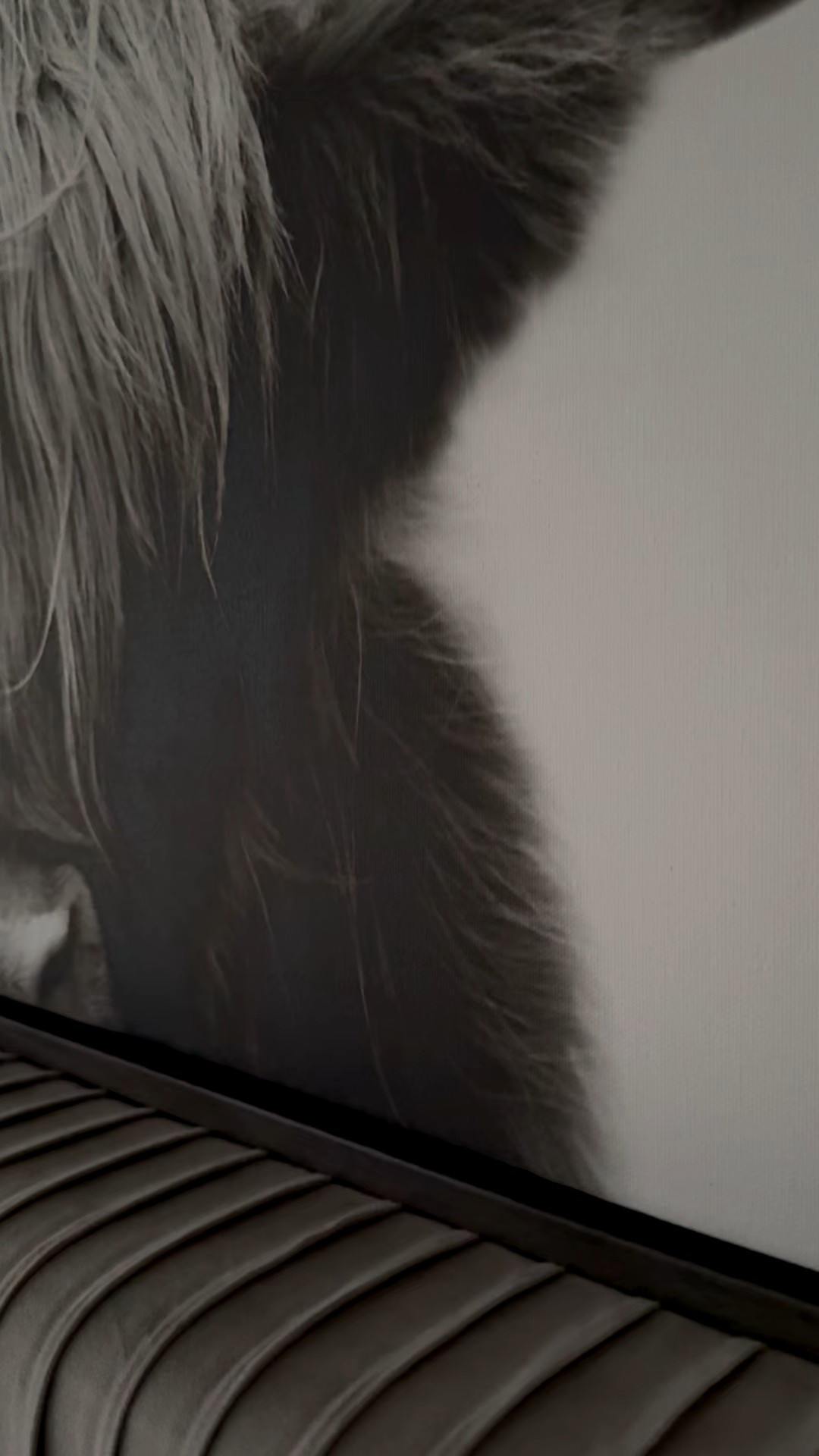 SecretsofYve: Love my highland cow wall art! @target home gift guide
#Secretsofyve #ltkgiftguide
Always humbled & thankful to have you here.. New posts daily at 3pm & 4:15pm EST. 
CEO: PATESI Global & PATESIfoundation.org
@secretsofyve : where beautiful meets practical, comfy meets style, affordable meets glam with a splash of splurge every now and then. I do LOVE a good sale and combining codes! #ltkstyletip #ltksalealert #ltkfamily #ltku #ltkfindsunder100 #ltkfindsunder50 #ltkplussize #ltkmidsize #ltkover40 #ltkpetite #ltkvlog #ltktravel #ltkparties #ltkbump #ltktall #ltkwatchnow secretsofyve 

#LTKHome #LTKMens #LTKSeasonal