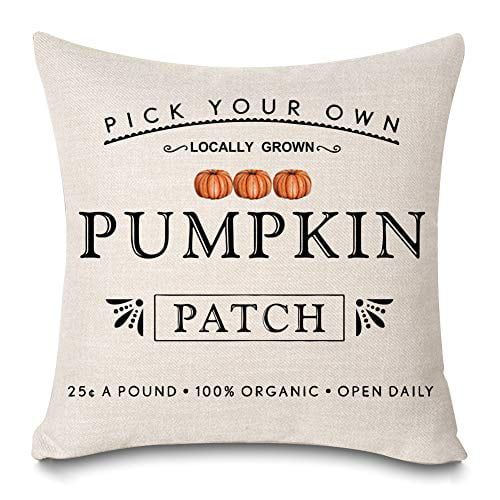 Decorative Throw Pillows | Walmart (US)