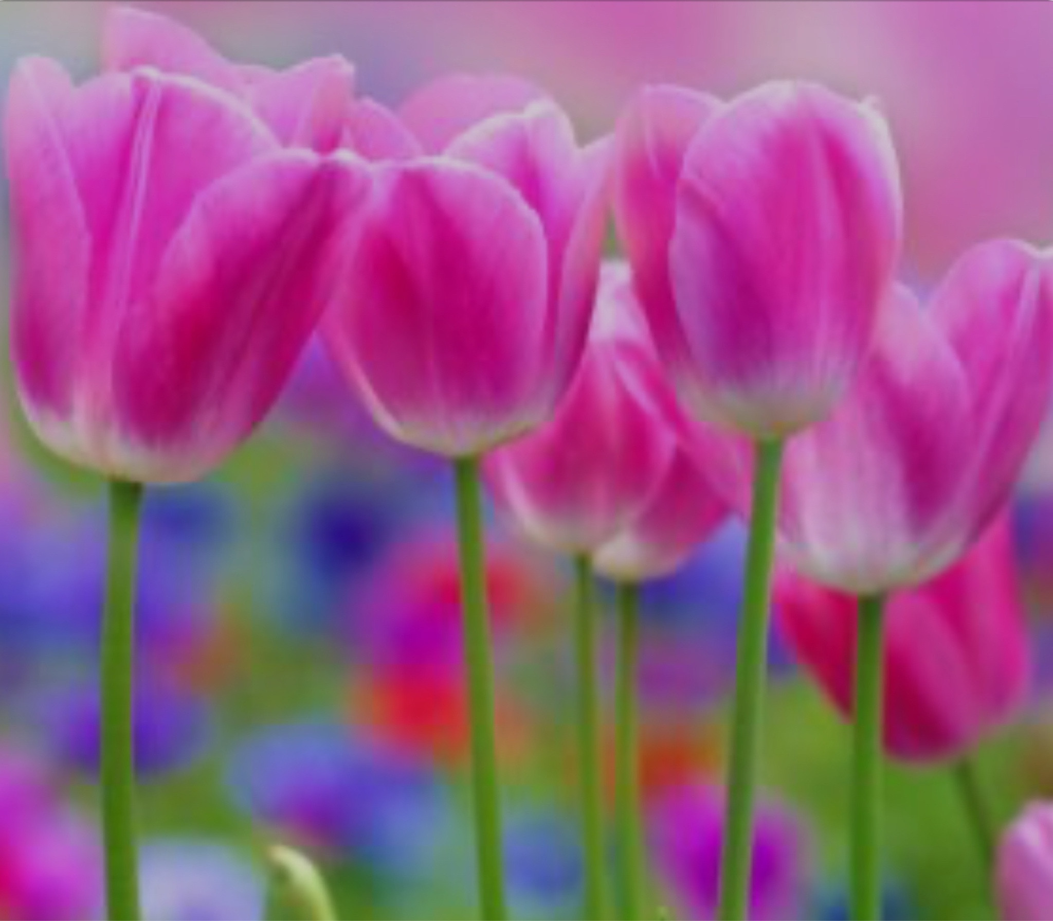 Blue ish Easter style 

#LTKstyletip #LTKbeauty #LTKfindsunder50