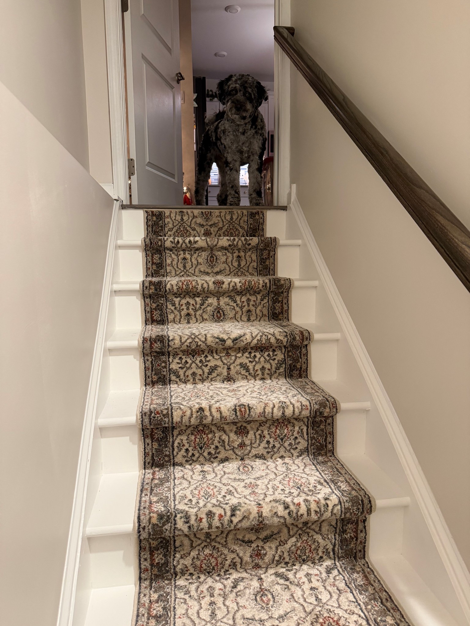 Jenn DIY’d the runner for our basement steps and it turned out perfect! 

#LTKHome