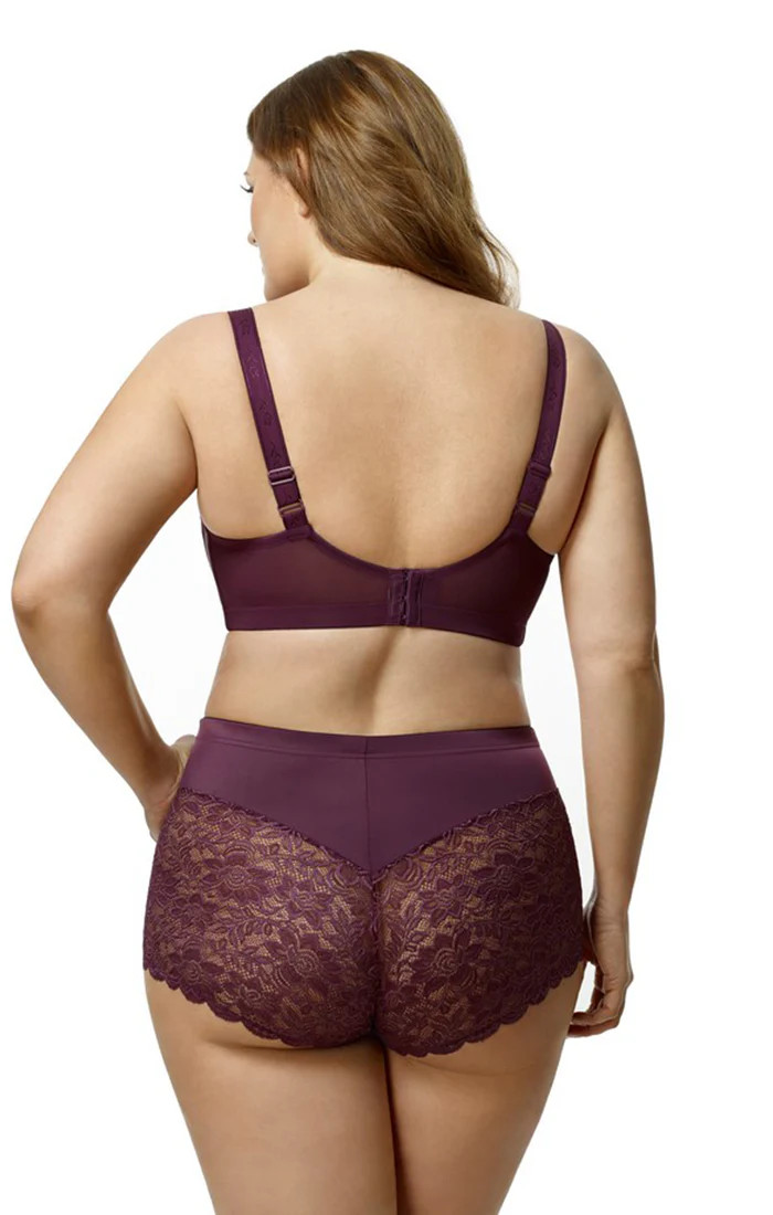 Elila Women’s Plus Size Lacey Curves Cheeky Panty, Style 3311 Plum | She's Got Curves