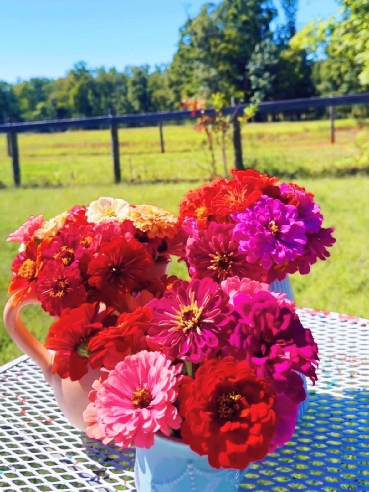 happy first october friday from the farm garden and allllll the homegrown flowers (still blooming away into October 🤭)!!! 💐🫙🌼👩‍🌾🪴🌞🪻#fallfriday #homegrownflowers #fallgarden #fallzinnias #octobergarden