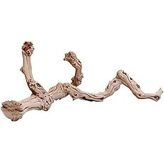 Zoo Med Sandblasted Grapevine, Large, 18 to 24-Inches Black | Amazon (US)