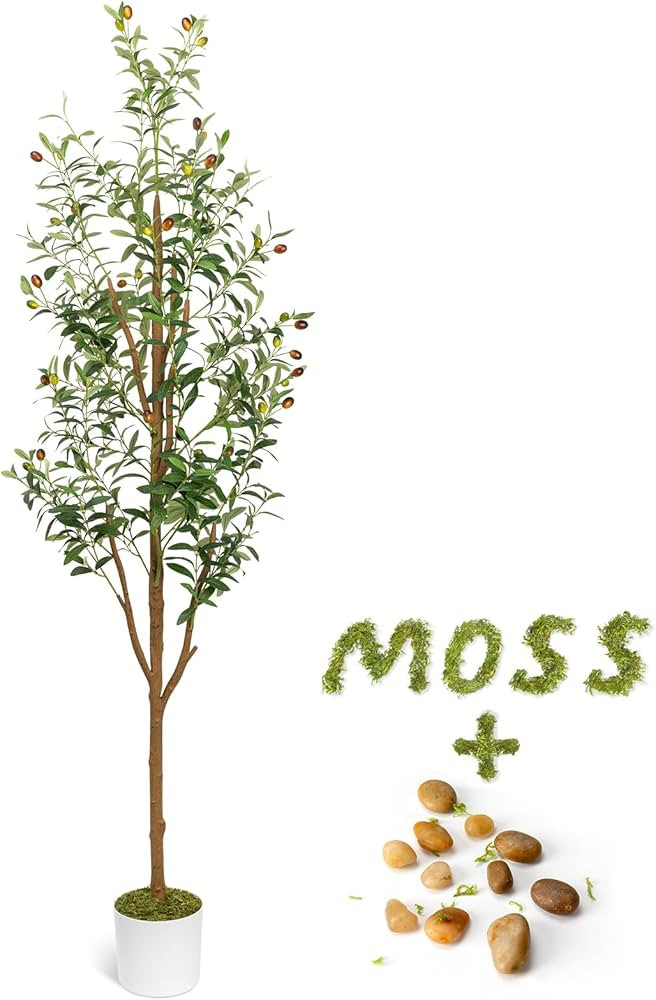 Artificial Olive Trees 6FT - Large Faux Olive Tree for Indoor with White Planter, Tall Fake Olive... | Amazon (US)