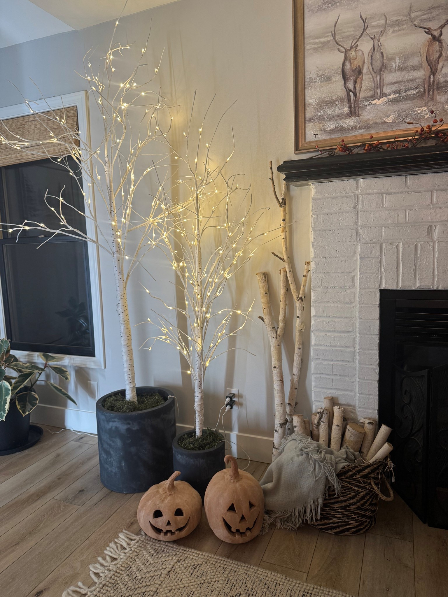 Use these lighted trees all year long 🤎

Fall decor, winter decor, Halloween decor, Christmas decor, home decor 

#LTKSaleAlert #LTKHalloween #LTKSeasonal