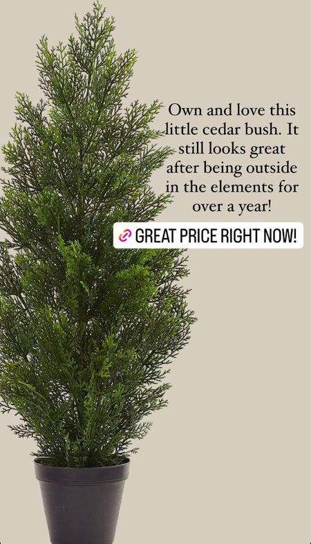 Amazon Prime Day deal! Faux trees are easy for your porch since they require no maintenance. I’ve had this one for a year and it has held up so nicely!

Faux plants 
Sale alert 

#LTKhome #LTKxPrimeDay #LTKsalealert