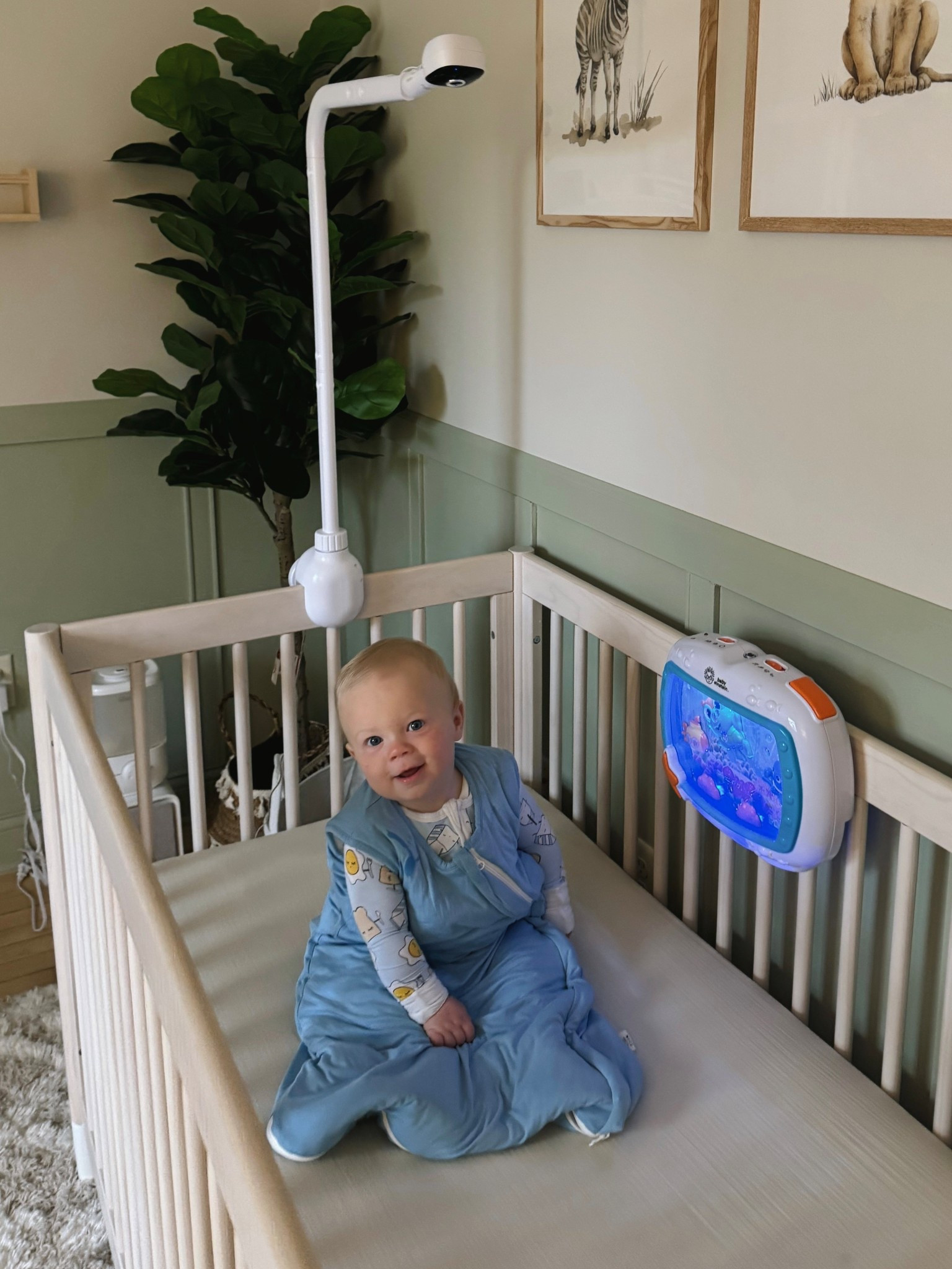 Amazon baby summer sleep essentials sleep sack and pjs 

#LTKFindsUnder50 #LTKFamily #LTKBaby