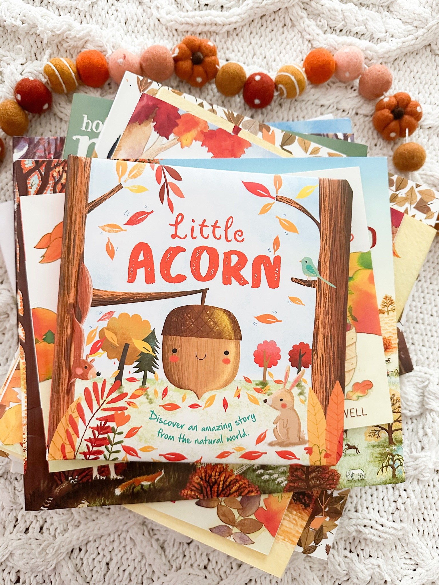 Children’s fall books we’ve been loving!🍂🍁

#LTKFallSale #LTKKids #LTKSeasonal