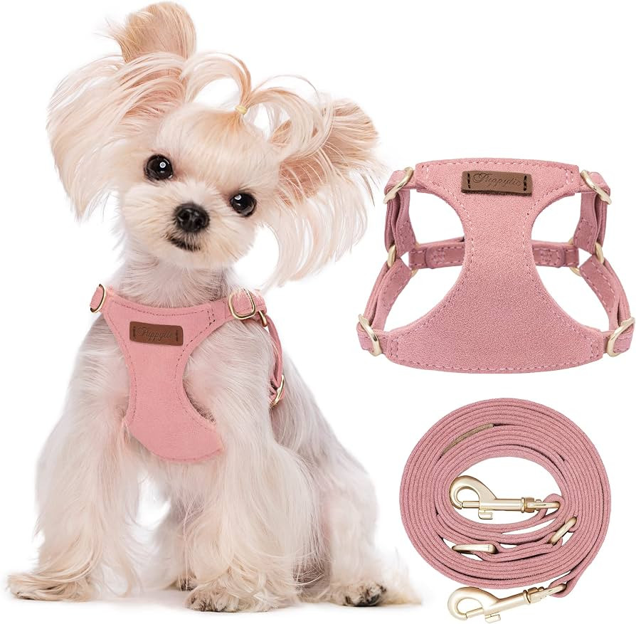 No Pull xs Dog Harness with Multifunction Dog Leash,Soft Adjustable No Choke Escape Proof Pet Har... | Amazon (US)