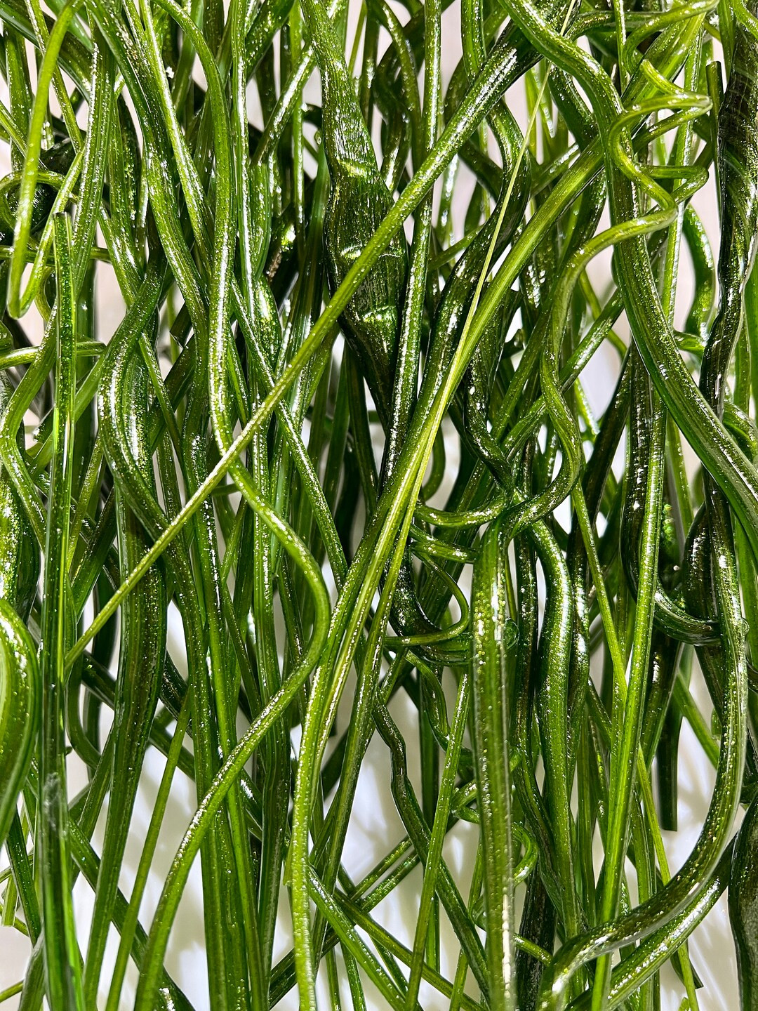 COE90 Aventurine Green Mix Vitrigraph 3 Oz Package - Etsy | Etsy (US)