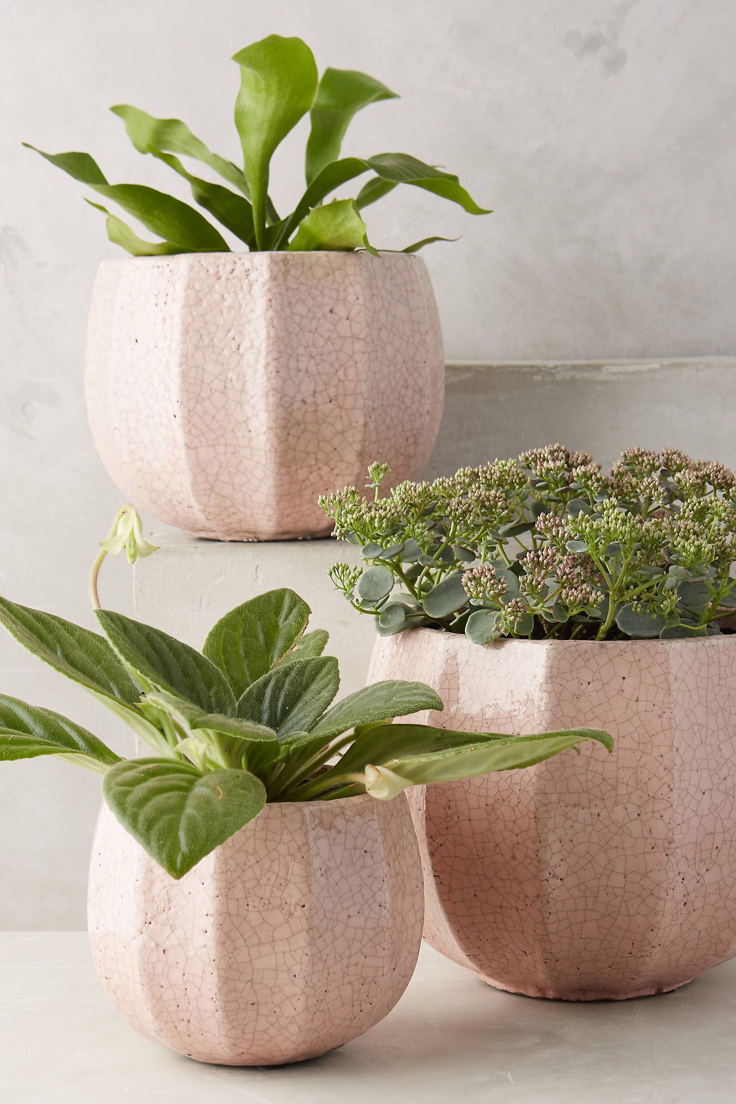 Ridged Terracotta Pot | Anthropologie (US)