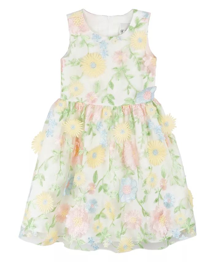 Rare Editions Toddler Girls Sleeveless 3D Floral Embroidered Social Dress - Macy's | Macy's