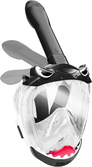 Black White | Amazon (US)