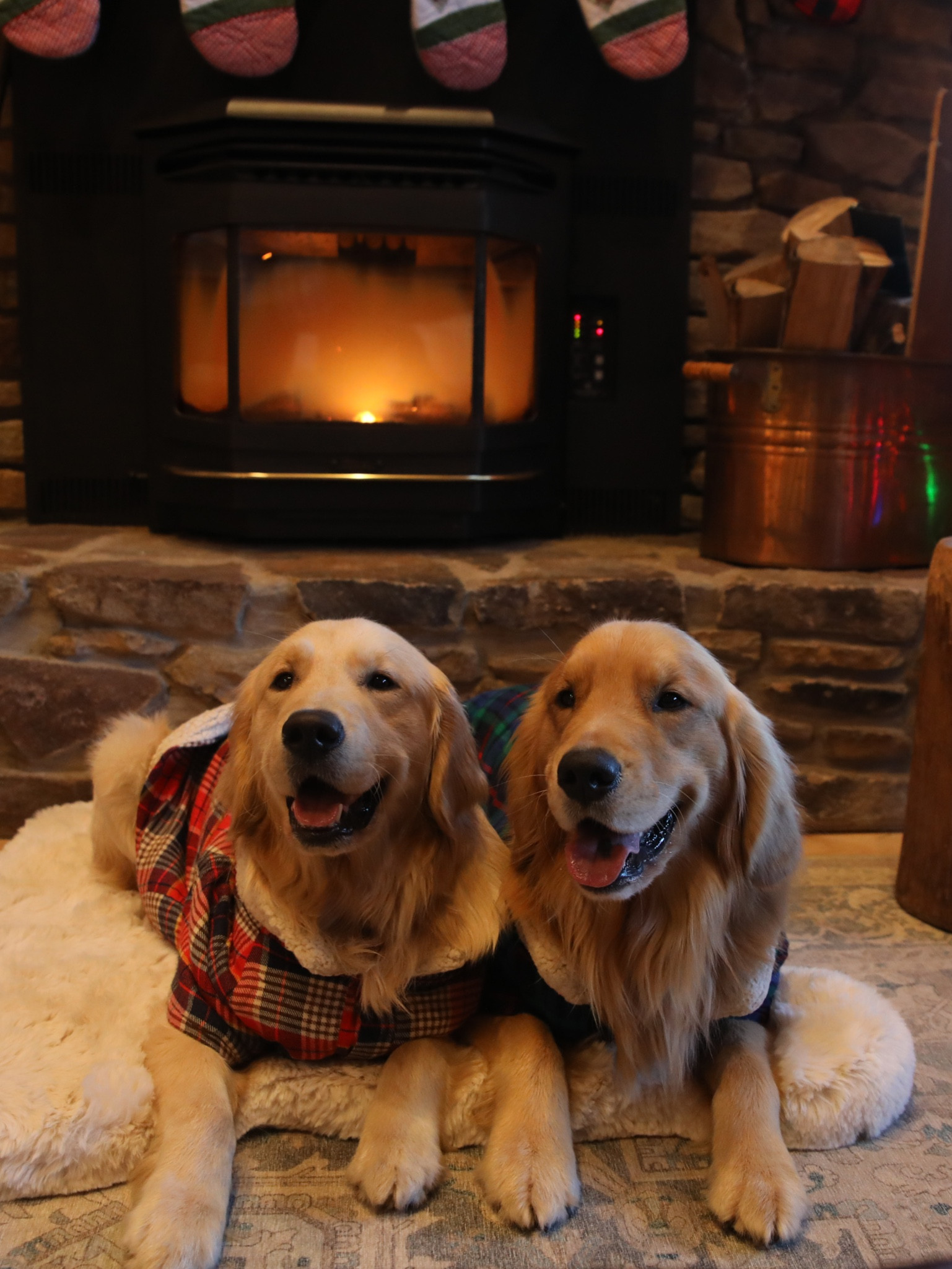 40% off our favorite Sherpa flannels for Christmas! 🤍

#LTKunder50 #LTKSeasonal #LTKHoliday