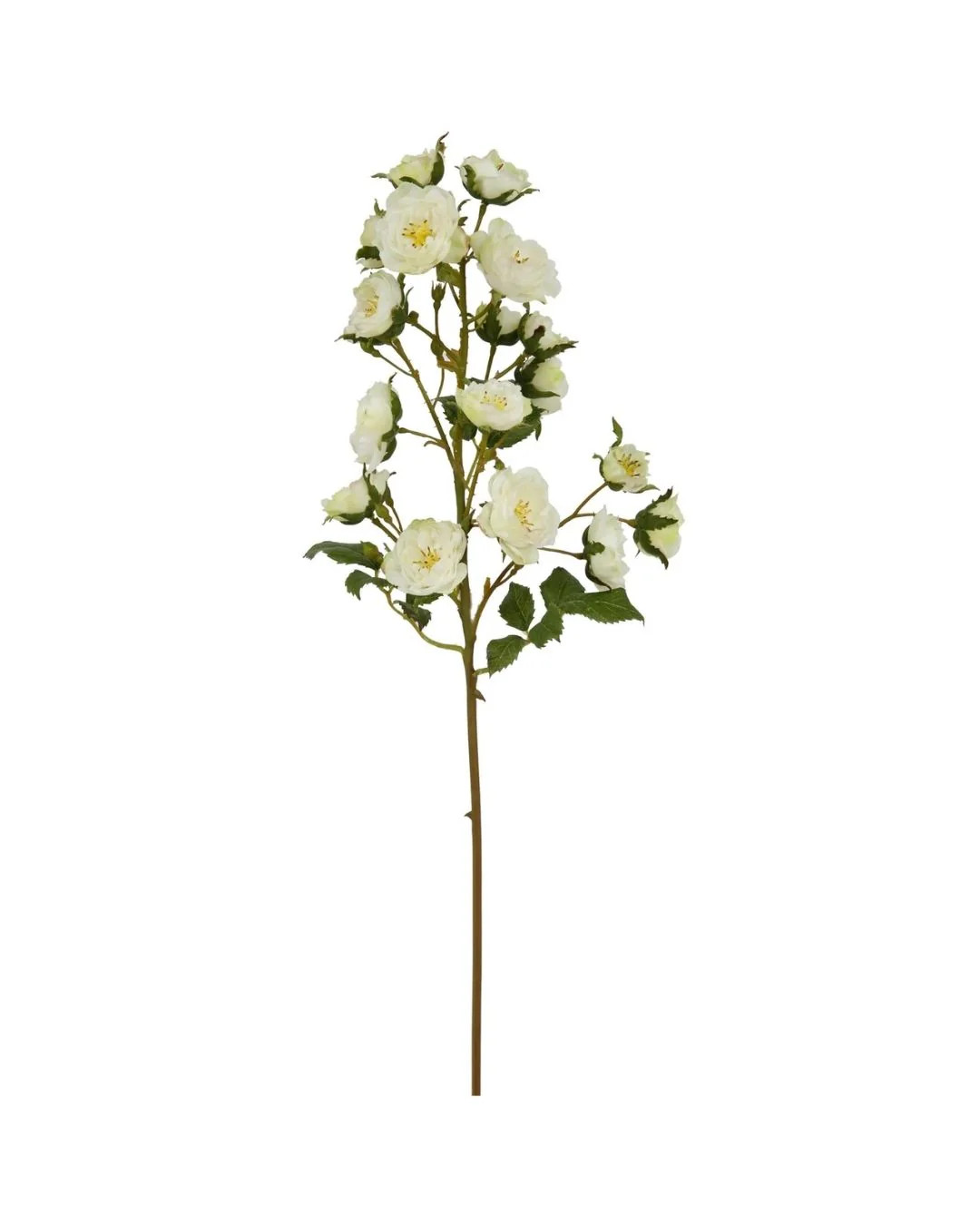 Cream Rose Pick | Brooke & Lou | Brooke and Lou