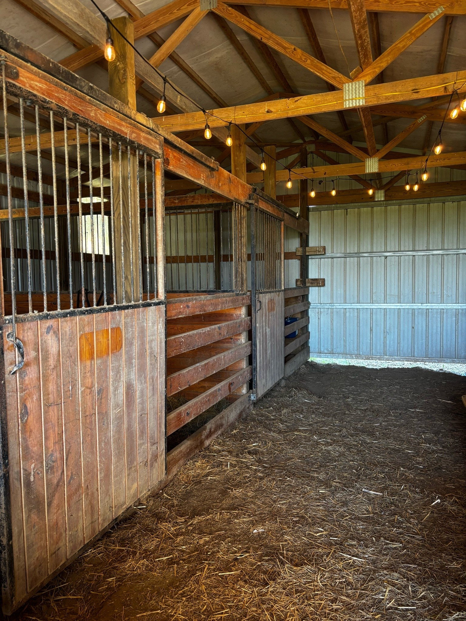 In love with all three of our barns on the property 🥹 these are just patio lights from rural king (we hung them up in the family barn for my graduation party in highschool and had to do it here too!) unfortunately after Ruby’s passing the horse Dixie we were boarding had to go home because she can’t be alone but the plan is to board again as soon as my heart is ready. I miss my girl but I’m thankful for so many people especially Chandler encouraging me to continue pursuing my dreams. This has been a long time coming and the Lord opened every door to be on this land. He takes what the enemy meant for evil and turns it for good. Please keep praying for Beau our oldest. He’s having a really hard time missing his Ruby

#LTKdayinmylife #LTKmomlife #LTKmorningroutine
