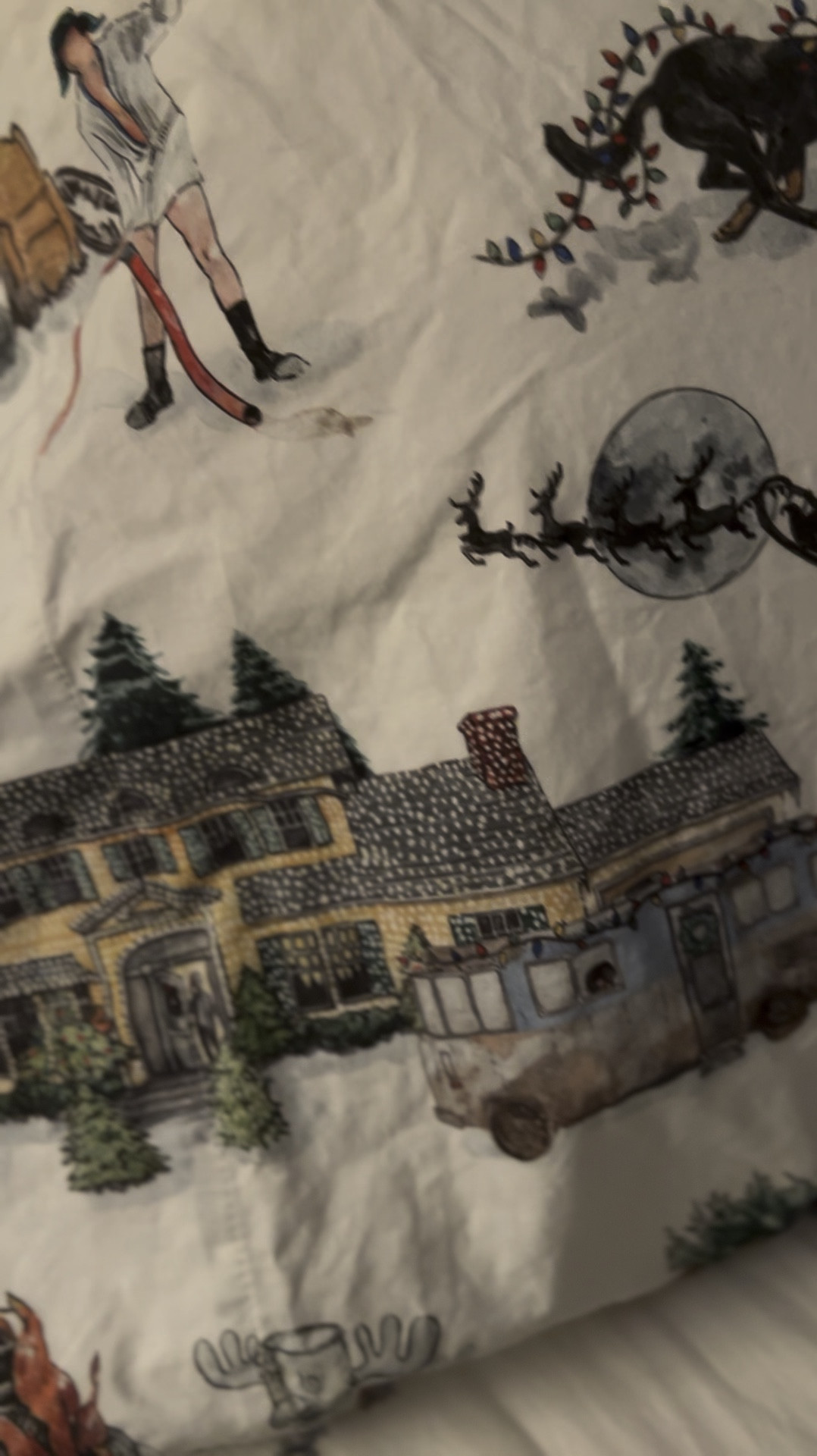 🎄National Lampoon’s Christmas Vacation bedding / collection. This is one of our favorite Christmas movies so I couldn’t resist. 😆

#LTKGiftGuide #LTKHoliday #LTKHome