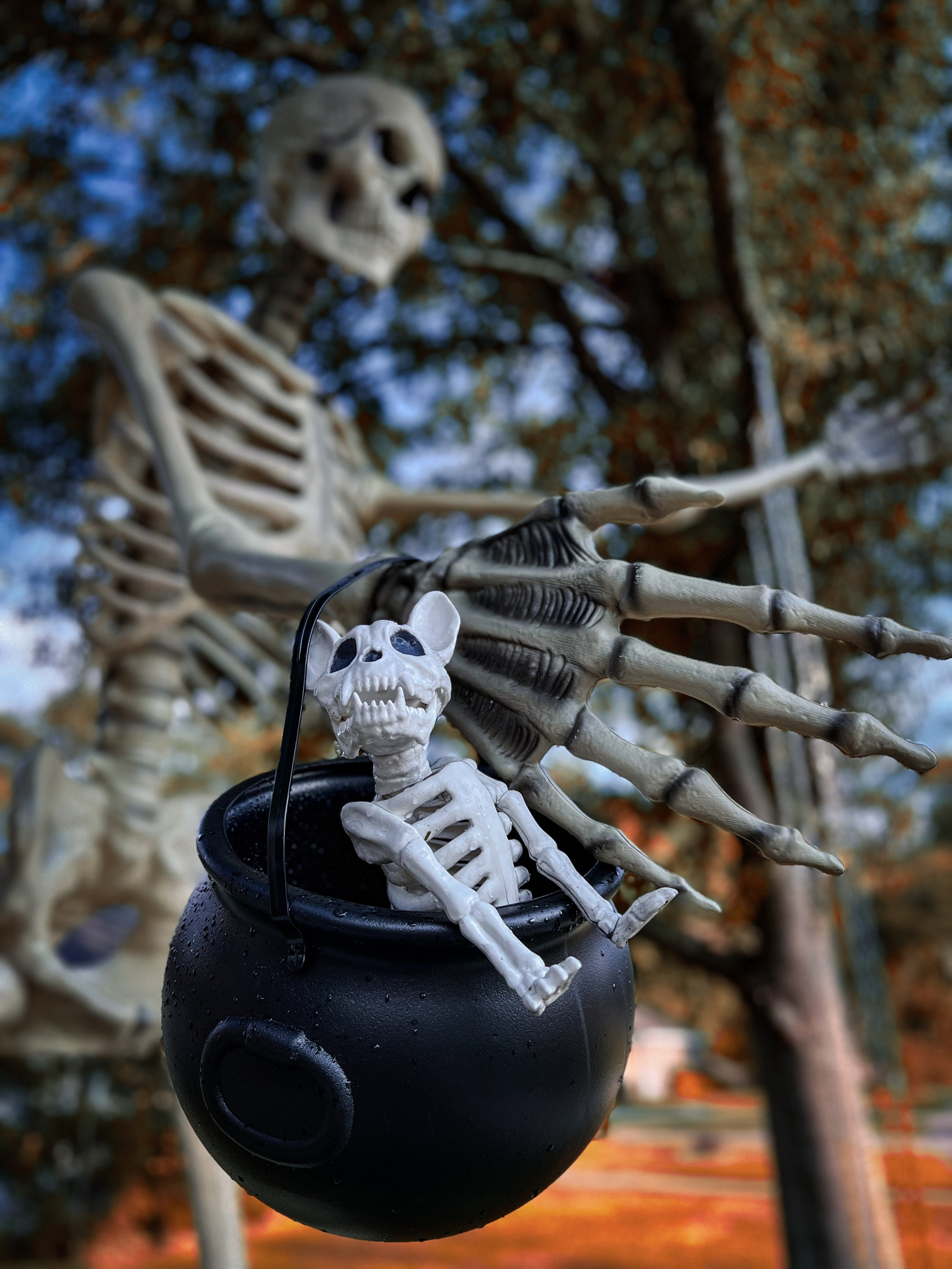 Halloween outdoor decorations
Cauldron - Target
12 ft skeleton - The Home Depot
French bulldog sleleton - Target / hyde & EEK 
super fun a spooky Halloween decor 

#LTKhome #LTKSeasonal #LTKHalloween