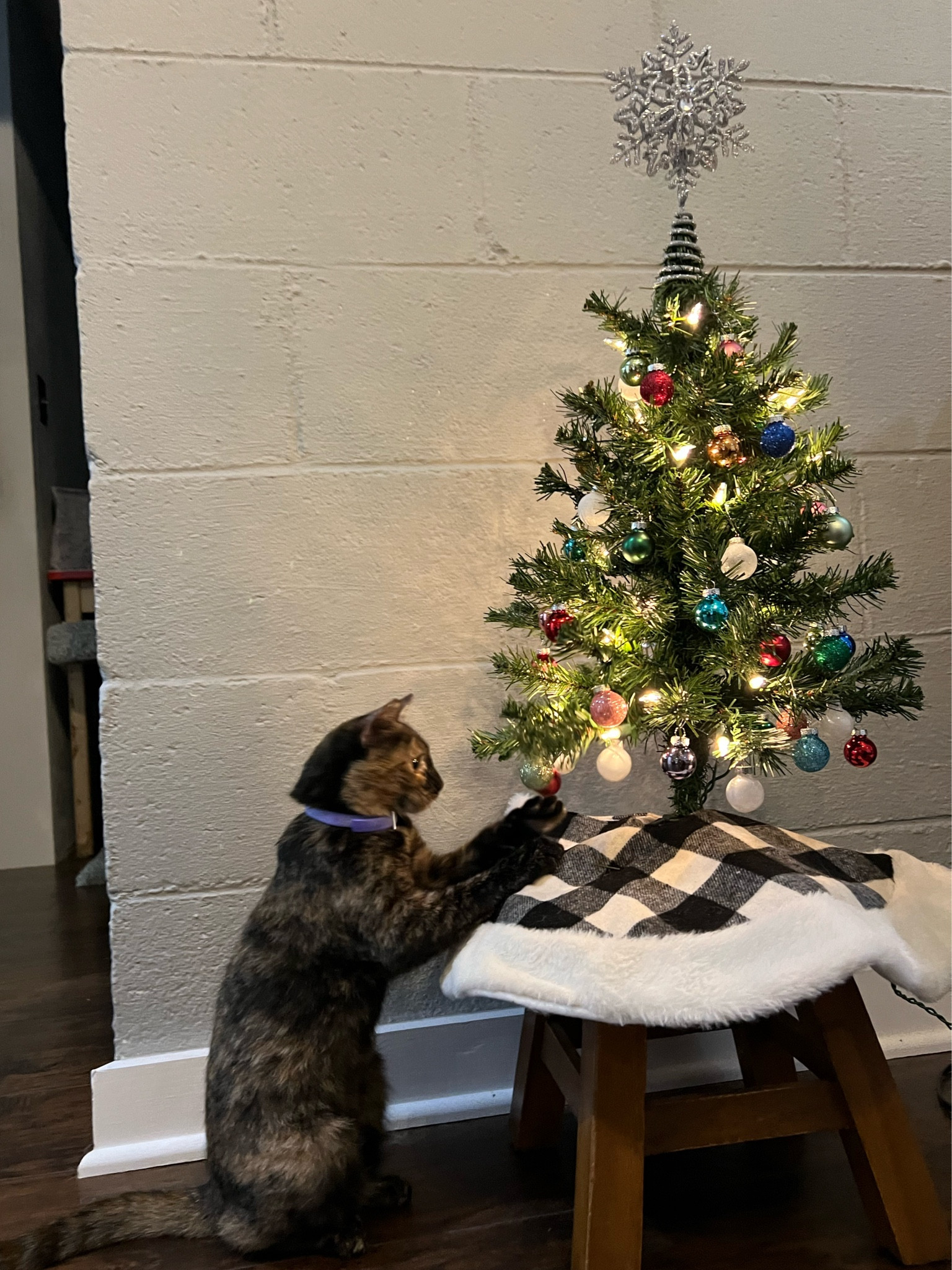 Mini Christmas tree 

#LTKSeasonal #LTKHoliday #LTKhome