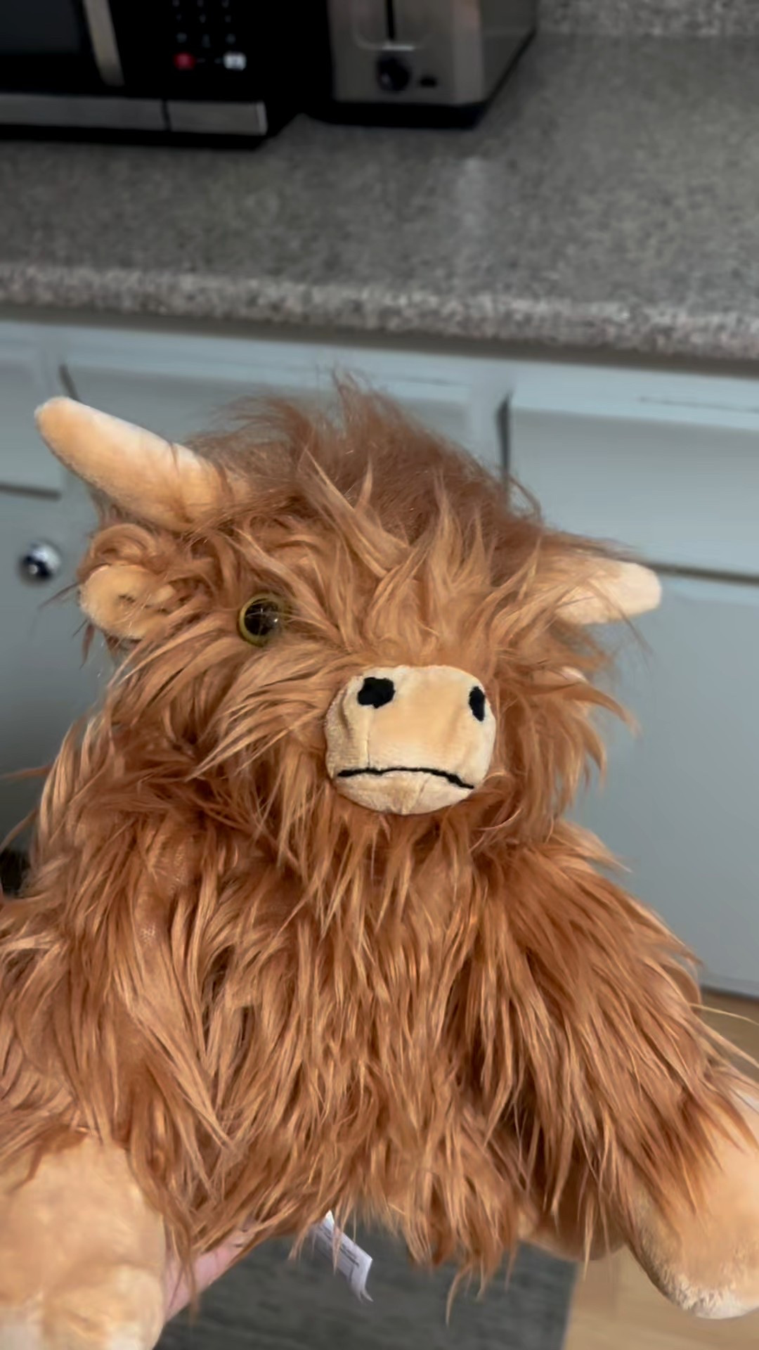 Meet my son’s new favorite buddy 🐮✨ his wearable Highland Cow plush! This cozy stuffed cow is heatable and coolable, filled with natural flaxseeds and lavender for ultimate comfort. Whether he’s cuddling, soothing a boo boo, or winding down at bedtime, this lavender-scented cow stuffed animal has quickly become part of our everyday routine.

The best part? Amazon has a deal running October 7–10 so it’s the perfect time to grab one for your little one (or yourself!) 🤍

Soft, huggable, and super cozy, this microwavable stuffed animal doubles as a heating pad and a cooling plush toy. It makes an adorable Highland Cow gift for kids, teens, and adults, perfect for stress relief, bedtime comfort, or just a warm hug whenever you need it.

highland cow stuffed animal, heatable plush toy, microwavable heating pad animal, lavender scented stuffed animal, stress relief plush, stuffed cow gift, cozy cuddly toy, amazon deals october 2025

#LTKKids #LTKFamily #LTKBaby