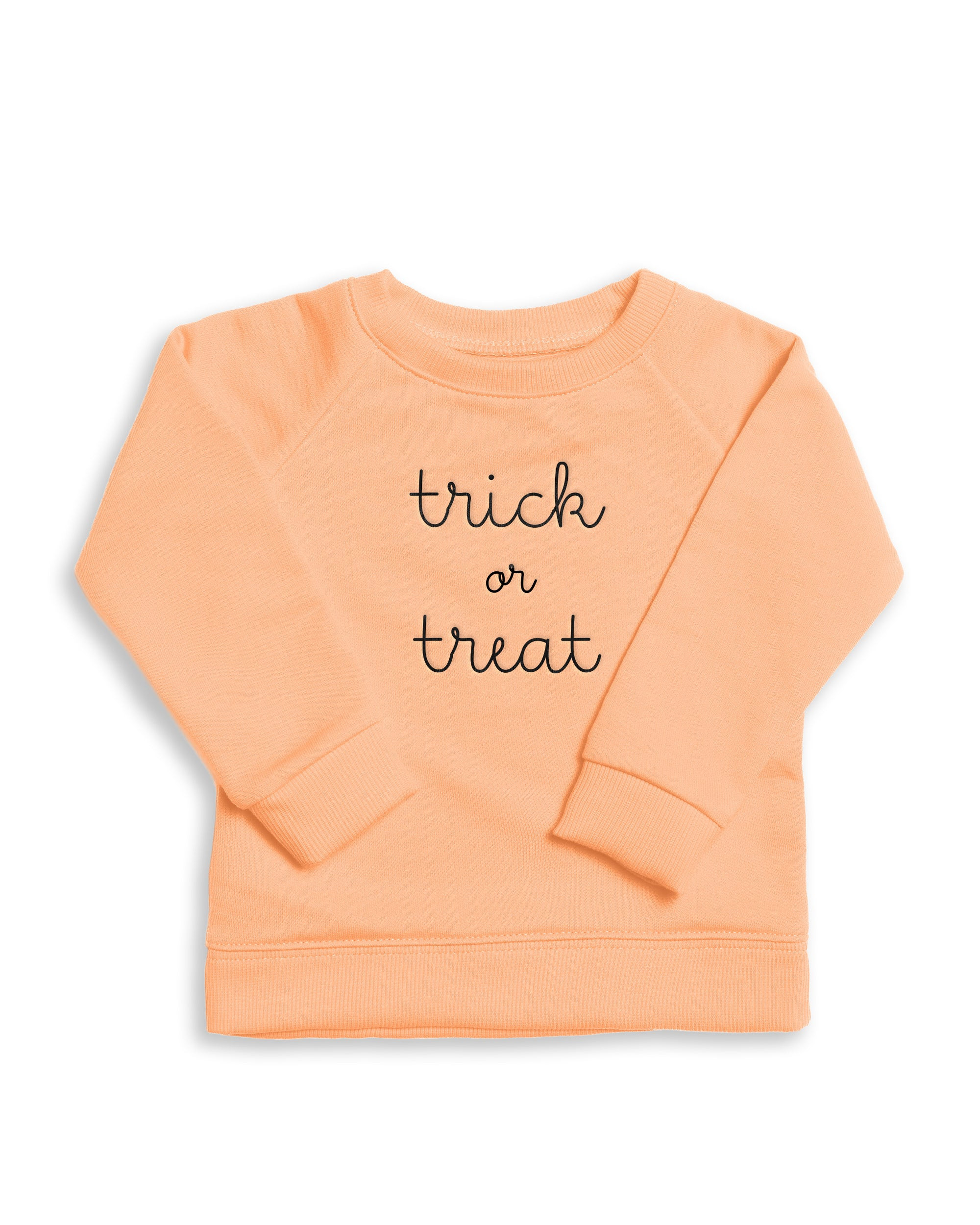 The Organic Embroidered Pullover Sweatshirt | 1212