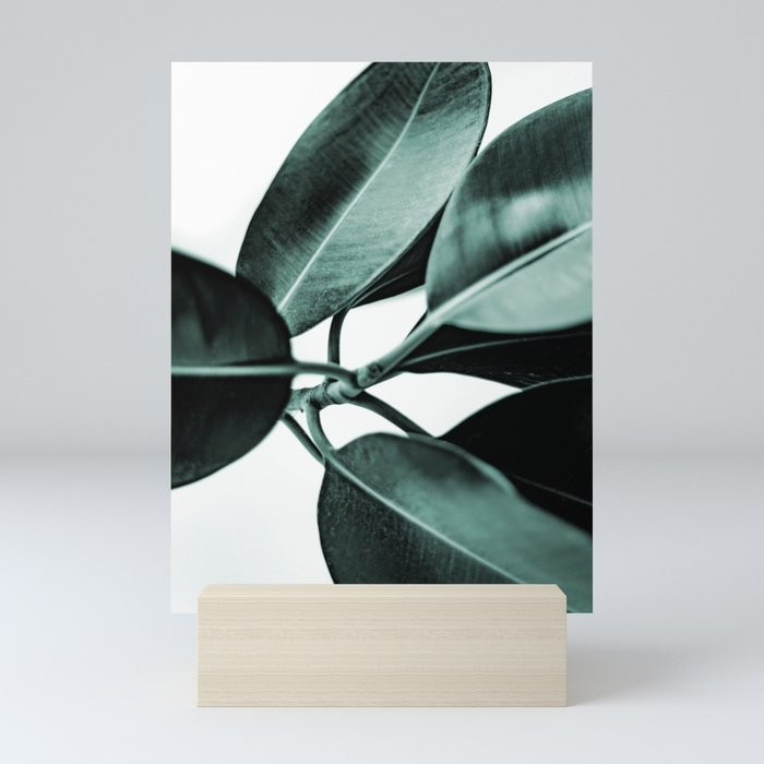 Minimal Rubber Plant Mini Art Print by Artprink Ph - With Stand - 3" x 4 | Society6