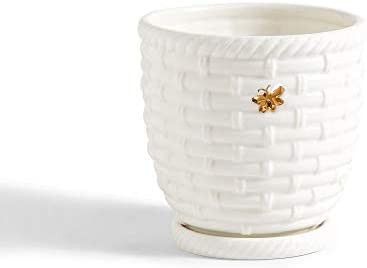 Two's Company Bee Happy Bee Skep and Golden Bee Planter Pot with Saucer | Amazon (US)