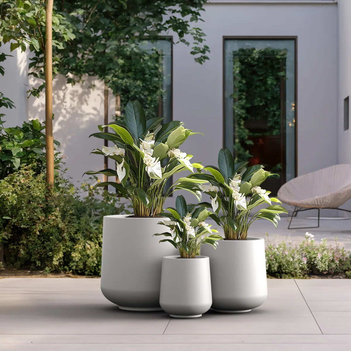 Brennus 3-Piece Cement Pot Planter Set | Wayfair North America