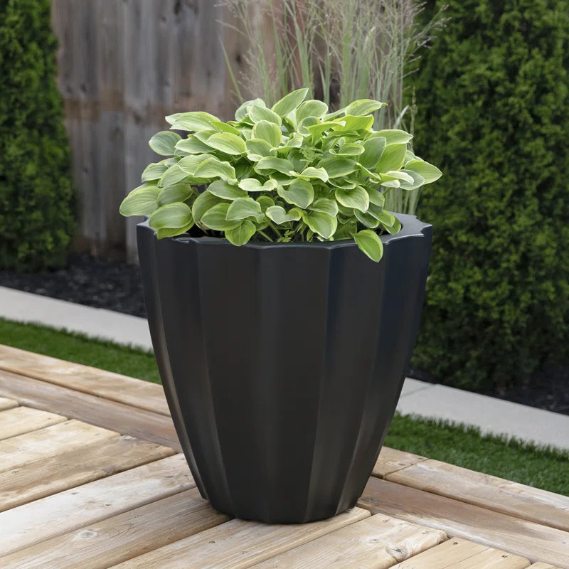 Aramenta Pot Planter | Wayfair North America