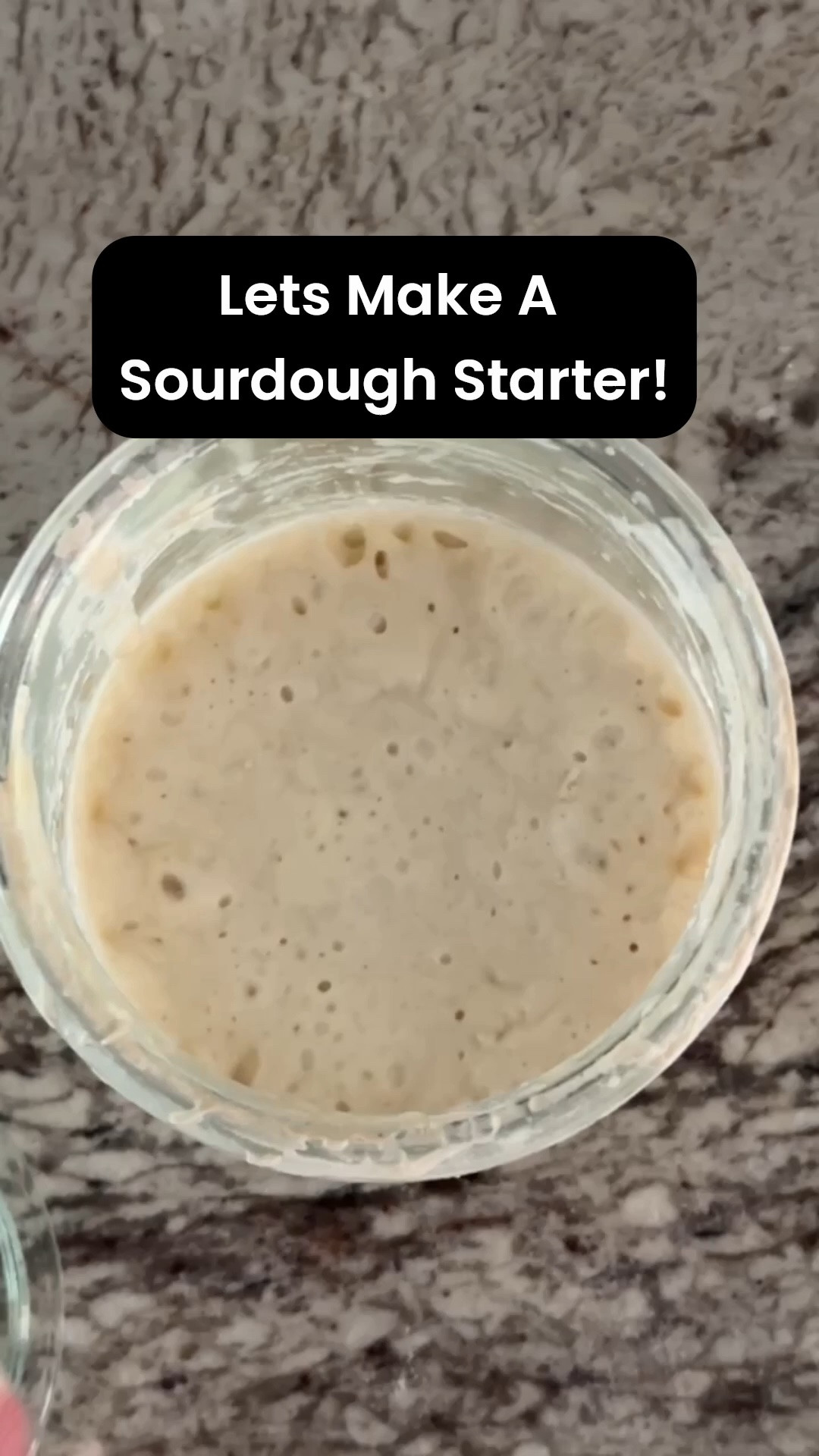 Starting a sourdough starter from scratch is so much easier than people think, and you only need a few simple supplies to get going. I’ll walk you through exactly what I use and keep on my counter.

The most important thing to know up front is to use the same brand and type of flour for the first few weeks. Switching flours while your starter is establishing can throw it off, so grab a fresh bag and stick with it until your starter is strong and active.

Here’s what makes the process easier:
🫧 A jar with a wide opening and rounded bottom, which makes stirring and mixing the flour and water so much easier than a jar with sharp corners
🫧 A small jar spatula to mix and scrape down the sides so your starter stays clean
🫧 A fresh bag of my favorite flour, used consistently for the first few weeks
🫧 A kitchen scale for accurate measuring and feeding, and you’ll reach for it constantly once you start baking bread
🫧 A warming pad to keep your starter cozy if your house runs cooler than 75 degrees, which speeds up the whole process

Want my full step by step instructions? Google The Feathered Nester Sourdough Starter and it will pop right up.

See below to shop everything you need to start your own sourdough journey!#LTKfinds #sourdough #sourdoughstarter #sourdoughbread #breadbaking #kitchenessentials

#LTKHome #LTKSeasonal #LTKfoodie #LTKSeasonal #LTKHome