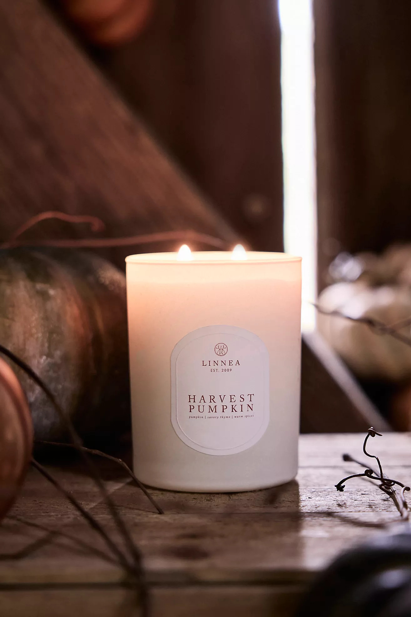 Linnea Candle, Harvest Pumpkin | Anthropologie (US)
