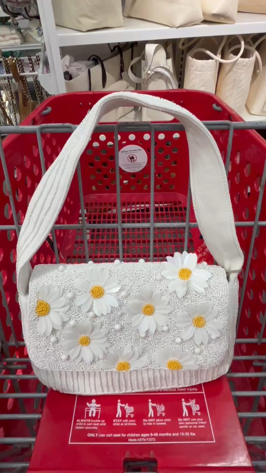 The sweetest white daisy purse $35 @Target 

Other colors and styles available!

Wedding purse, bride shoulder bag, bridal bag. 

#LTKWedding #LTKSeasonal