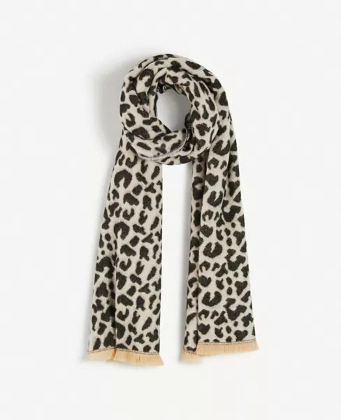 Leopard Print Scarf | Ann Taylor Factory
