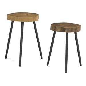 HomeRoots 19" 2-piece Aluminum and Teak Wood Side Table Set in Natural/Black | Cymax