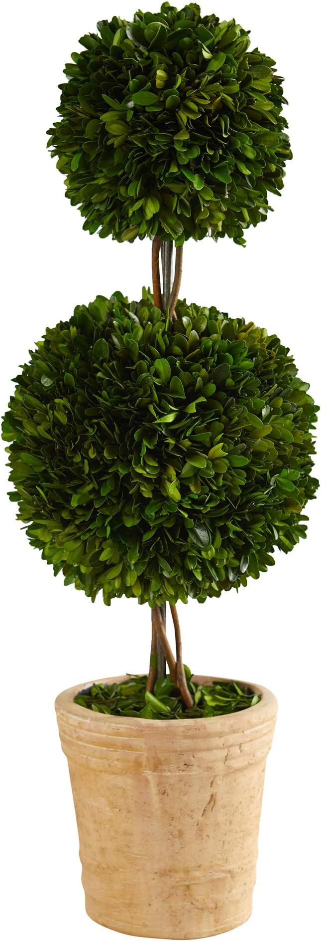 Nearly Natural 2.5ft. Preserved Boxwood Double Ball Topiary Tree in Decorative Planter | Amazon (US)