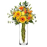 CYS EXCEL Glass Cylinder Vase, Floating Candle Holder, Flower vase, Decorative Centerpiece for Home, | Amazon (US)