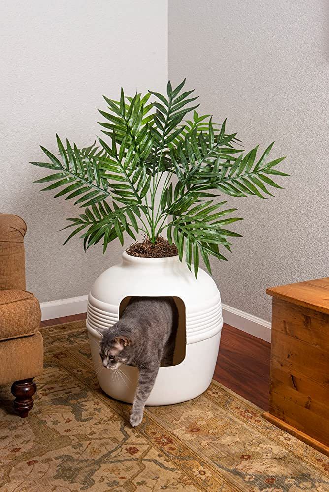 Good Pet Stuff, The Original Hidden Litter Box, Artificial Plants & Enclosed Cat Planter Litter B... | Amazon (US)