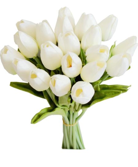 Amazing tulips 

#LTKSpringSale #LTKhome #LTKSeasonal