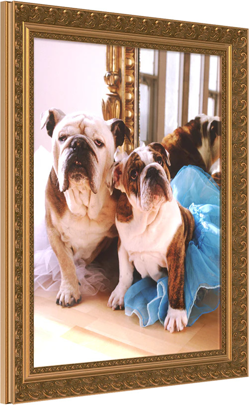 Luxe Wall Wide Gold Picture Frame | Print and Frame Photos Online | Frameology