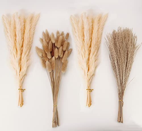 Natural Dried Pampas Grass Decor, Beige Pampas Grass, Bunny Tails Dried Flowers, Reed Grass Bouquet for Wedding Boho Flowers Home Table Decor, Rustic Farmhouse Party (100 in Total ) | Amazon (US)