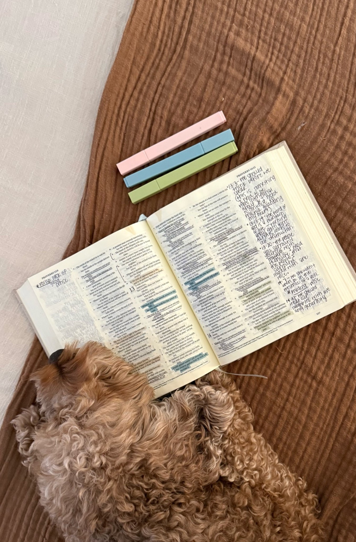 the best Bible highlighters

#LTKmorningroutine #LTKdayinmylife