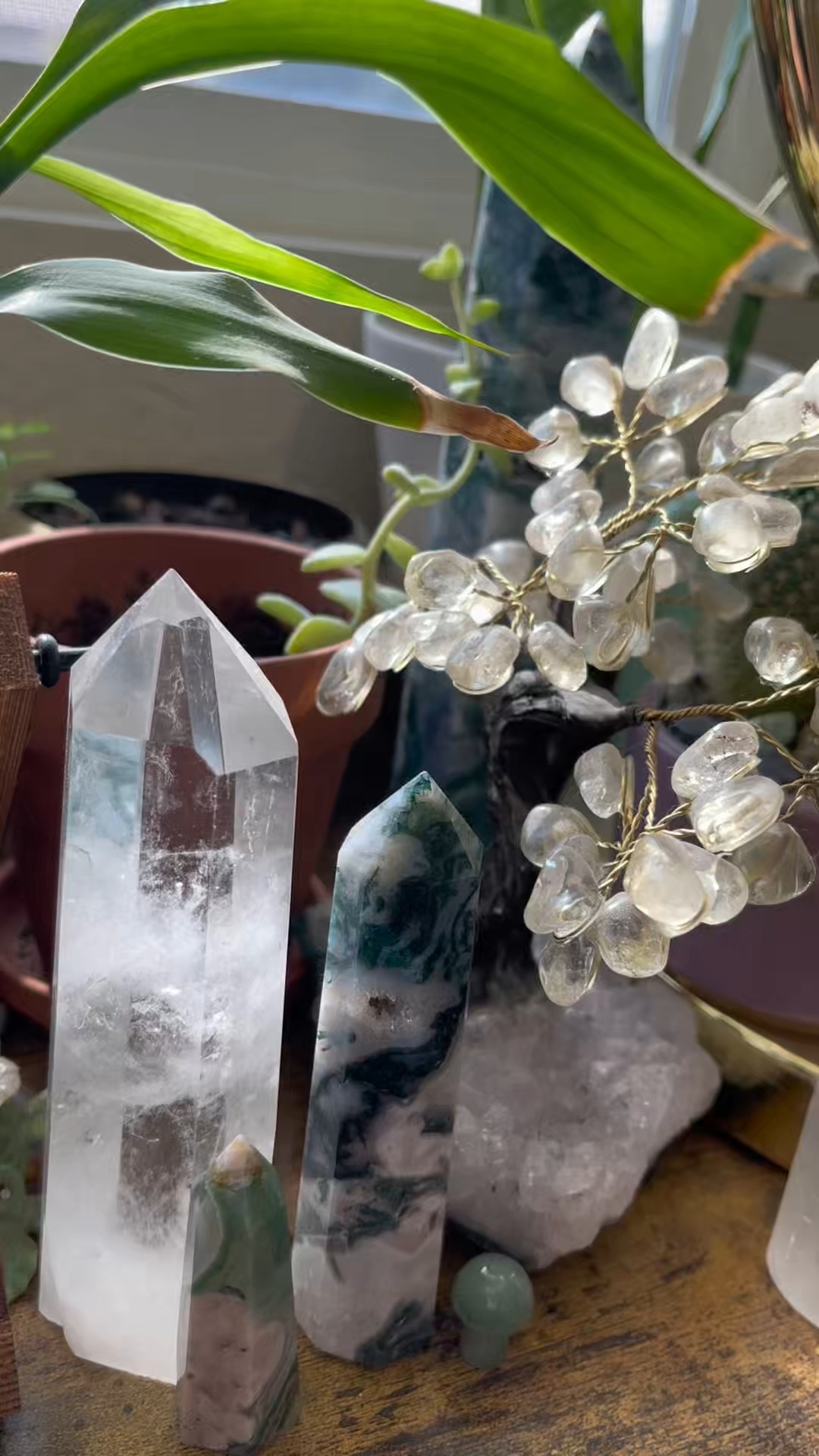 This little corner makes me happy ✨ hanging plants surrounded by crystals including quartz, flower agate, and one of my favorites ever: moss agate 😍


Crystals and stones
Houseplants
Hanging shelves 
Whimsical decor


#LTKFindsUnder50 #LTKHome