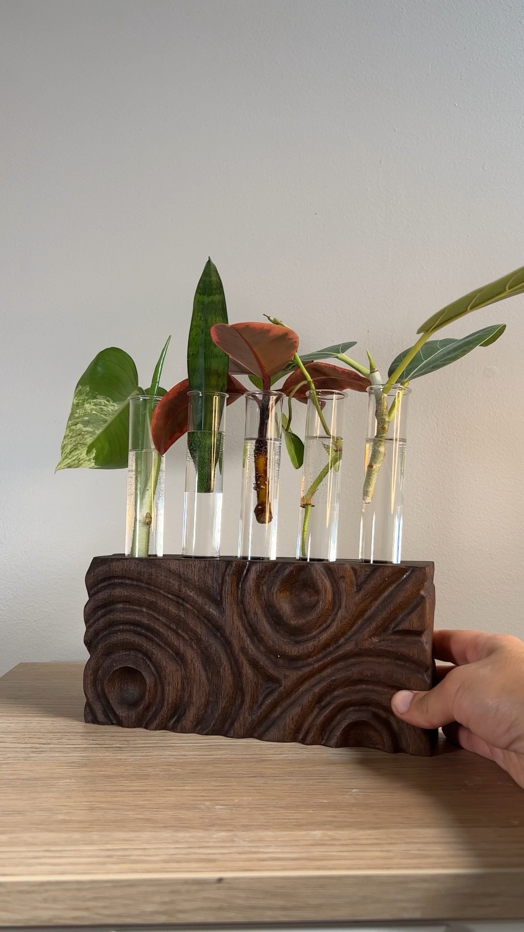 Carving a walnut propagation station 
