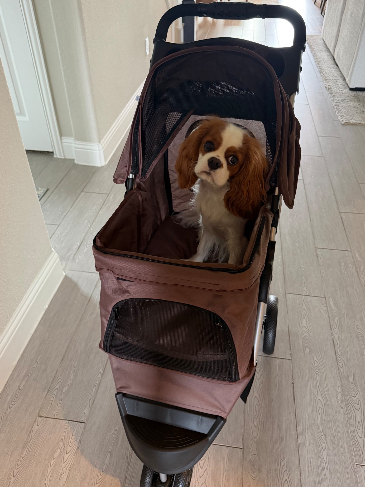 MoNiBloom Foldable Dog Strollers for Small Dogs with Weather Cover, 3 Wheels Pet Strolling Cart for Dogs and Cats with Storage Basket and Cup Holder, Breathable and Visible Mesh for All-Season, Coffee
#LTKPets


#LTKmomlife #LTKTravel