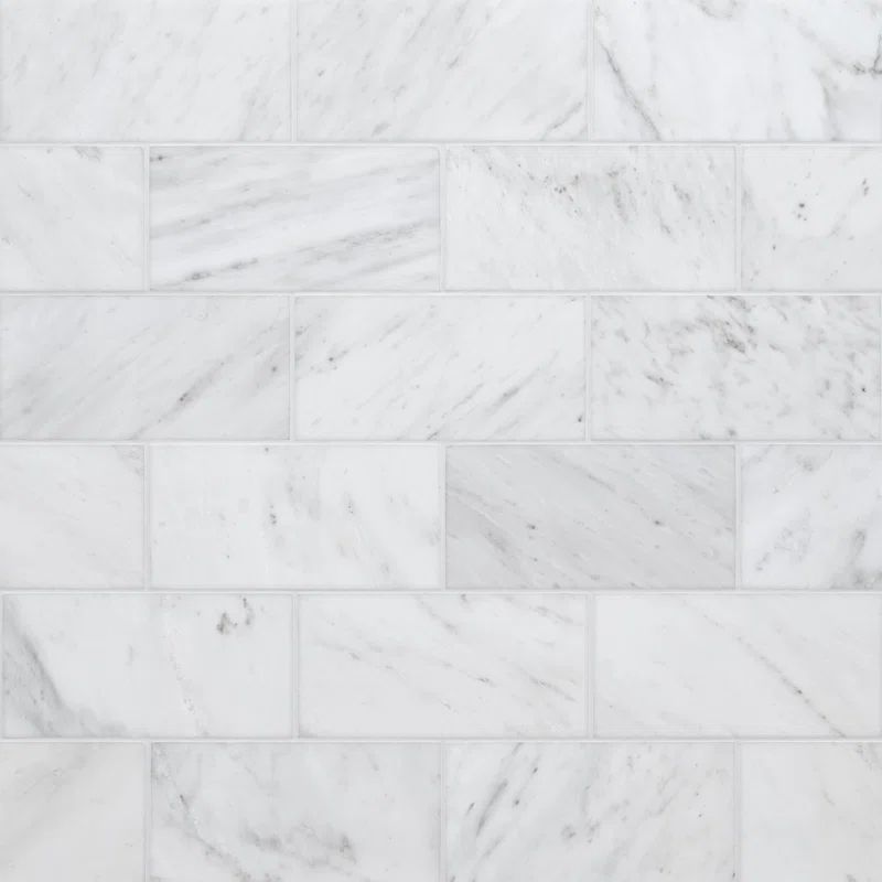 Arabescato Carrara 6"x12" Honed Marble Field Tile | Wayfair North America